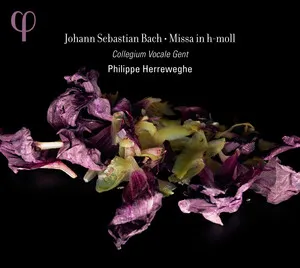 Missa in h-Moll by Johann Sebastian Bach / Collegium Vocale Gent / Philippe Herreweghe album cover