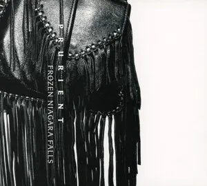 Frozen Niagara Falls by Prurient album cover