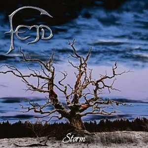 Storm by Fejd album cover