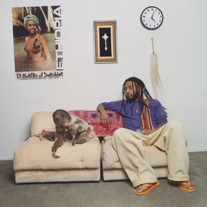 13 Months of Sunshine by Aminé album cover