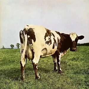 Atom Heart Mother by Pink Floyd album cover