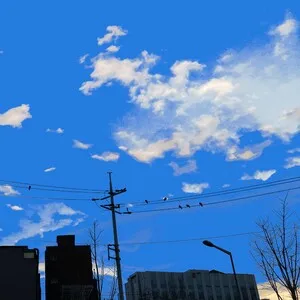 파란노을 [Parannoul] - White Ceiling / Black Dots Wandering Around