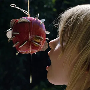 The Drought by Puce Mary album cover