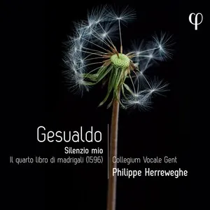 Silenzio mio: Il quarto libro di madrigali by Carlo Gesualdo / Collegium Vocale Gent / Philippe Herreweghe album cover