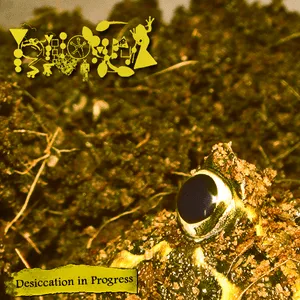 Desiccation in Progress (Version I) by Phyllomedusa album cover