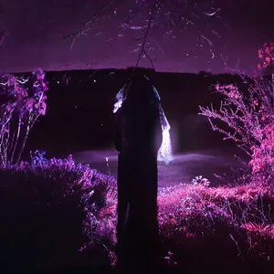 Entity by Sidewalks and Skeletons album cover