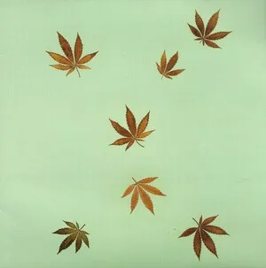 Hype Williams by Hype Williams album cover