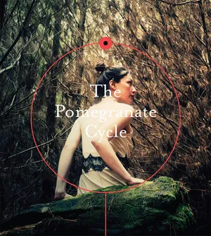 The Pomegranate Cycle by Textile Audio album cover