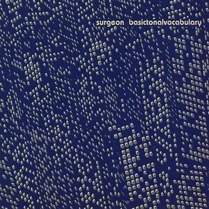 Basictonalvocabulary by Surgeon album cover