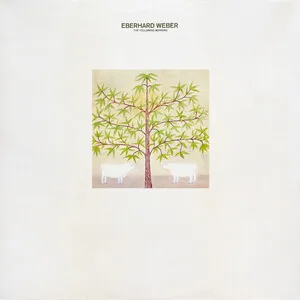 The Following Morning by Eberhard Weber album cover