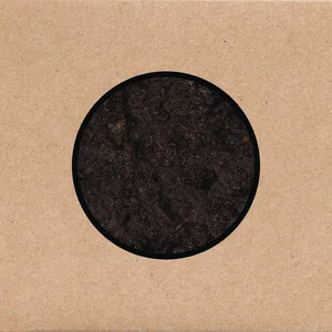 Birthing by Swans album cover