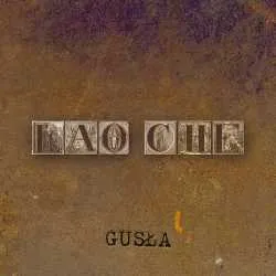 Gusła by Lao Che album cover
