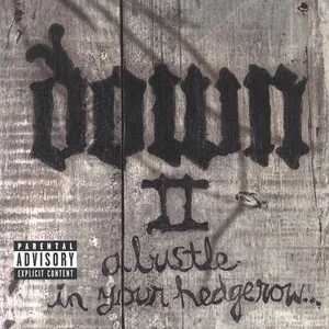 Down II: A Bustle in Your Hedgerow... by Down album cover