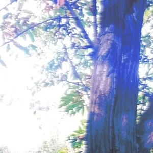 파란노을 [Parannoul] - Let's Walk on the Path of a Blue Cat