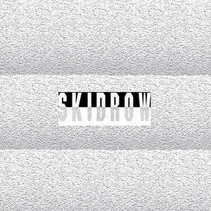 Skid Row by James Ferraro album cover
