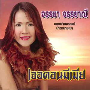 เจอตอนมีเมีย by Chanraya Sotchaemsi จรรยา สดแจ่มศรี album cover