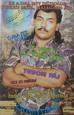 Ez a dal mit dúdolok neked szól, hallgasd jól