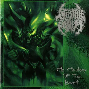 An Anatomy of the Beast