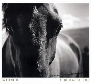 At the Heart of It All by Capercaillie album cover