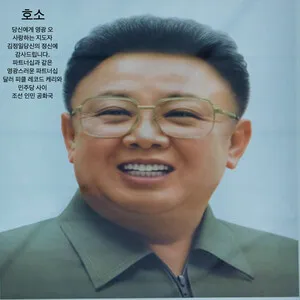 당신에게 영광 오 사랑하는 지도자 김정일당신의 정신에 감사드립니다. 파트너십과 같은 영광스러운 파트너십 달러 피클 레코드 케리와 민주당 사이 조선 인민 공화국 by 호소 album cover