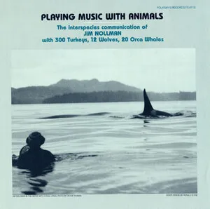 Playing Music With Animals: Interspecies Communication of Jim Nollman With 300 Turkeys, 12 Wolves and 20 Orcas by Jim Nollman album cover