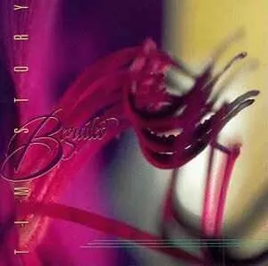 Beguiled by Tim Story album cover