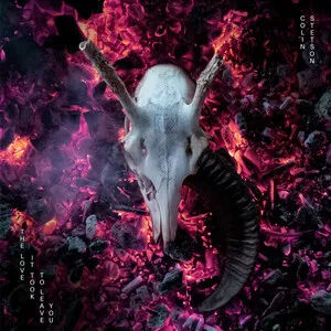 The Love It Took to Leave You by Colin Stetson album cover