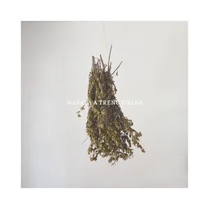 A trenc d'alba by Marala album cover