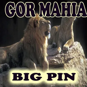 Gor mahia by Big Pin album cover