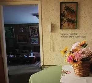 Pictures of the Warm South