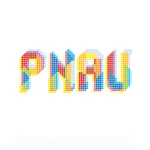 PNAU by PNAU album cover