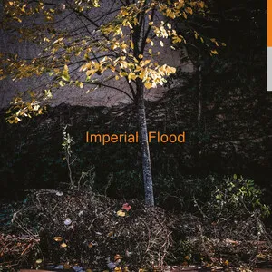 Imperial Flood by Logos album cover