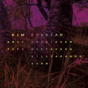 Villfarande barn by Kim Rysstad Arve Henriksen & Tord Gustavsen album cover