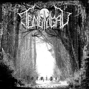 Terminal by Temenigru album cover