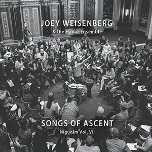 Nigunim, Vol. VII: Songs of Ascent by Joey Weisenberg & The Hadar Ensemble album cover