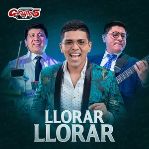 Llorar llorar by Grupo 5 album cover