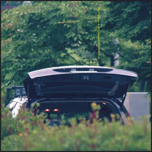 Pareidolia by Eiko Ishibashi / Jim O'Rourke album cover