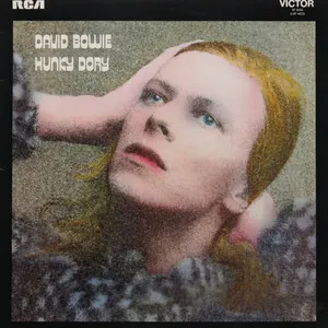 Hunky Dory