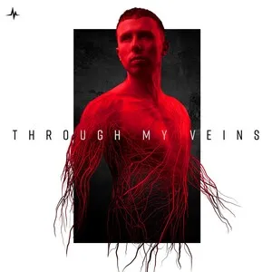 Through My Veins by D-Sturb album cover
