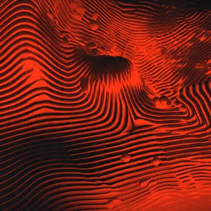 Zukunft by Obscure Shape album cover