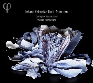 Motetten by Johann Sebastian Bach / Collegium Vocale Gent / Philippe Herreweghe album cover