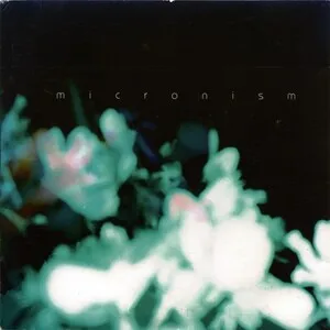 Inside a Quiet Mind by Micronism album cover