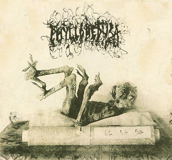 Odd_Bucket's Phyllmedusa Essentials Rate Your Music