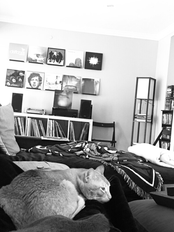 A Journey Through Discographies Rate Your Music