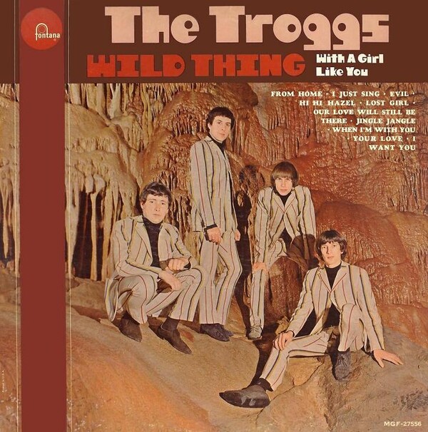 洋楽 THE TROGGS - FROM  / WILD THING The Troggs - Wild Thing: The Greatest Hits - Vinyl LP - Amazon.com