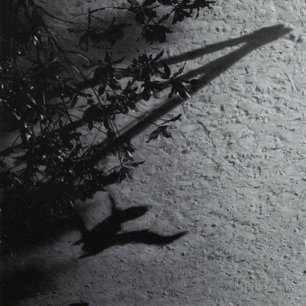★送料無料★Max Richter – The Blue Notebooks★ The Blue Notebooks (20 Year Edition) - Album by Max Richter