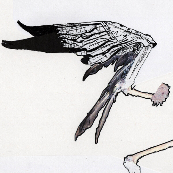 Cover art for Cow by Married Woman