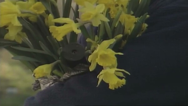 Lucre by Dean Blunt & Elias Rønnenfelt (EP, Indie Rock