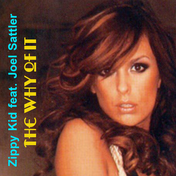 The Why of It (feat. Joel Sattler) by Zippy Kid (Single): Reviews ...