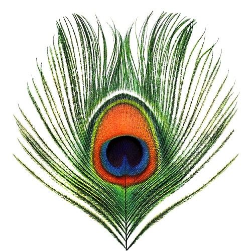 Apple Venus Volume 1 by XTC (Album, Chamber Pop): Reviews, Ratings